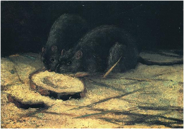 Vincent van Gogh's Two Rats Painting