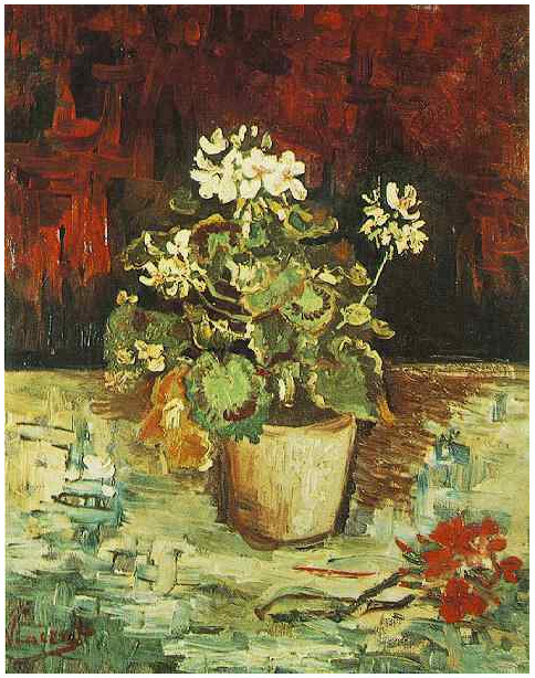 Geranium Vincent van Gogh, em uma pintura Vaso