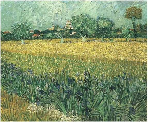 View of Arles with Irises in the Foreground