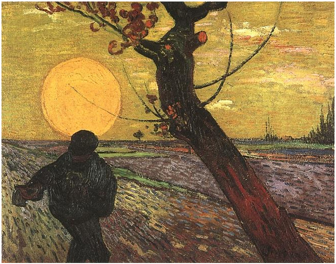 Vincent van Gogh Sower, The Painting Vincent van Gogh's Sower, The Painting
