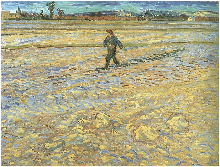 Vincent van Gogh Sower, The Painting Vincent van Gogh's Sower, The Painting