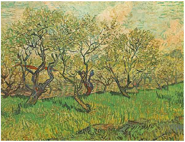 Orchard in Blossom