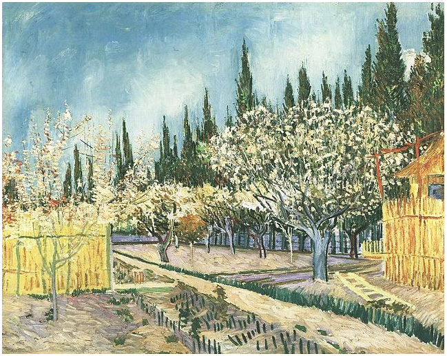 Orchard in Blossom, Bordered by Cypresses