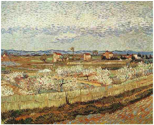 Vincent van Gogh La Crau with Peach Trees in Blossom Painting Vincent van Gogh's La Crau with Peach Trees in Blossom Painting