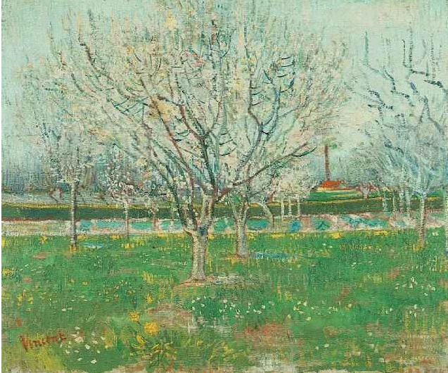 Orchards in Blossom Plum Trees