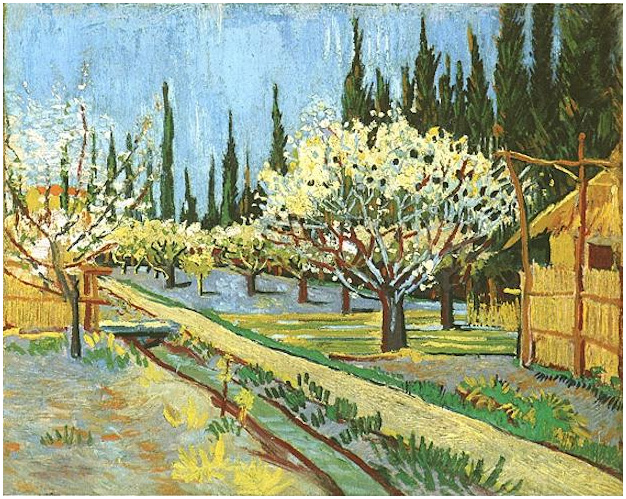 Orchard in Blossom Bordered by Cypresses