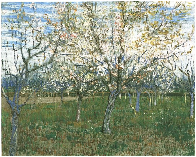 Orchard Vincent van Gogh com pintura árvores florescendo Apricot