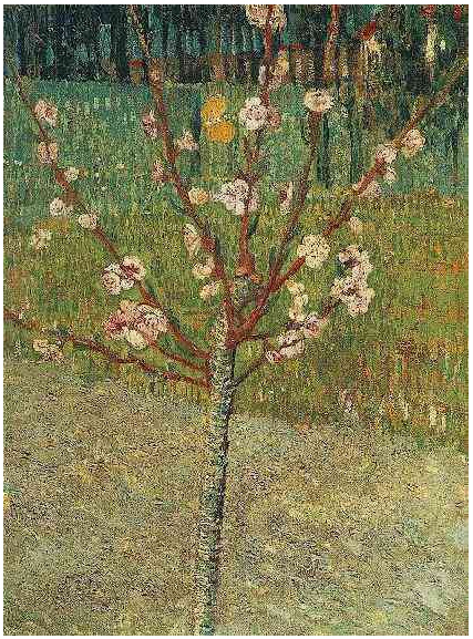 Almond-Tree-in-Blossom.jpg