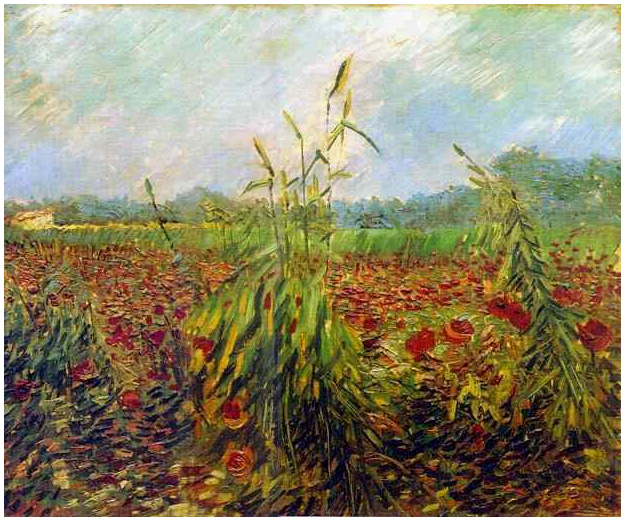 Vincent van Gogh Green Ears of Wheat Painting Vincent van Gogh's Green Ears of Wheat Painting