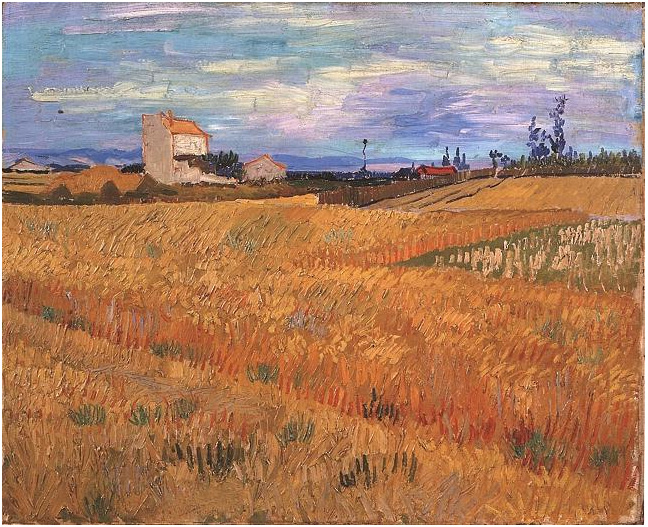 Vincent van Gogh Wheat Field Painting Vincent van Gogh's Wheat Field Painting