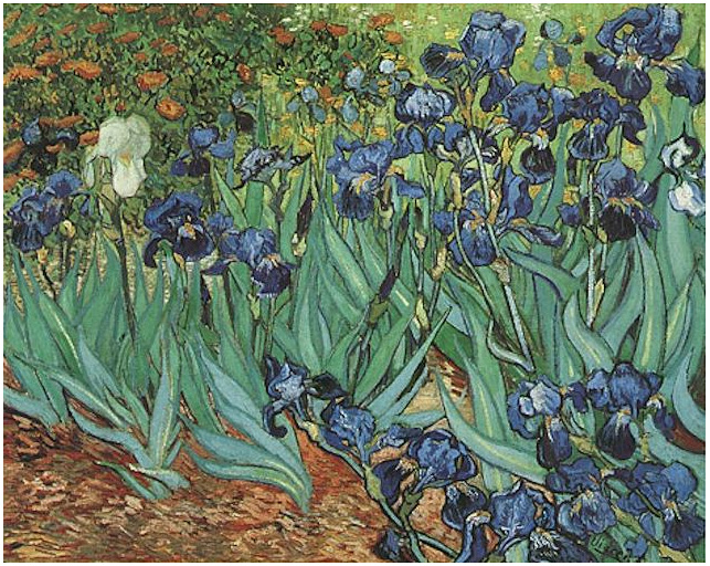 Vincent van Gogh's Irises Painting