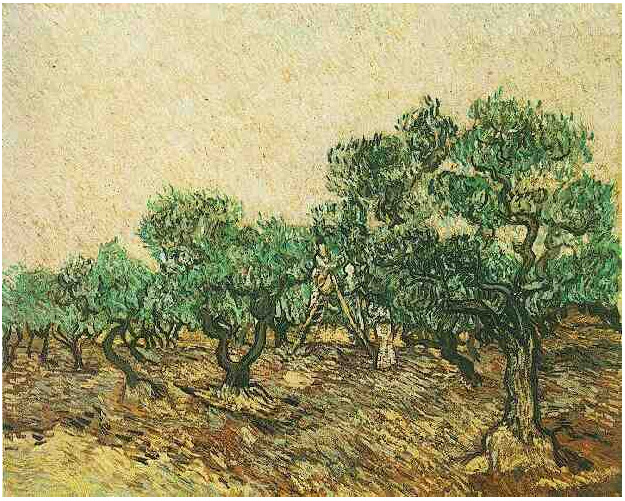 Van Gogh Painting Olive Picking