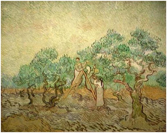 Olive Picking Painting