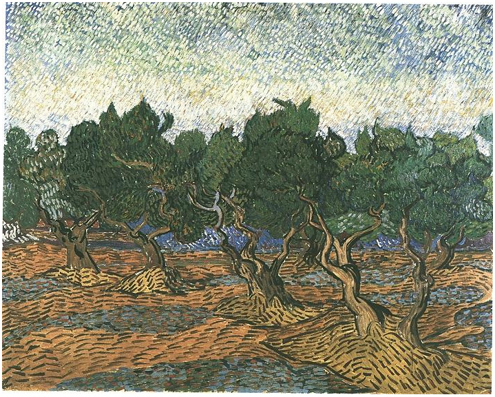 Olive Grove 1889