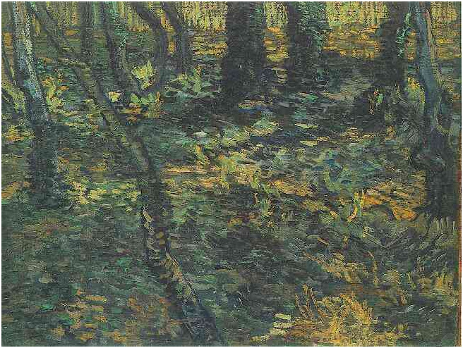 vincent van gogh undergrowth