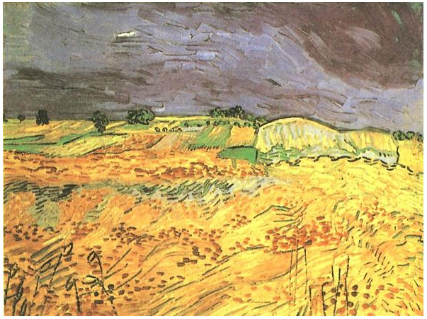 Vincent van Gogh Fields, The Painting Vincent van Gogh's Fields, The Painting