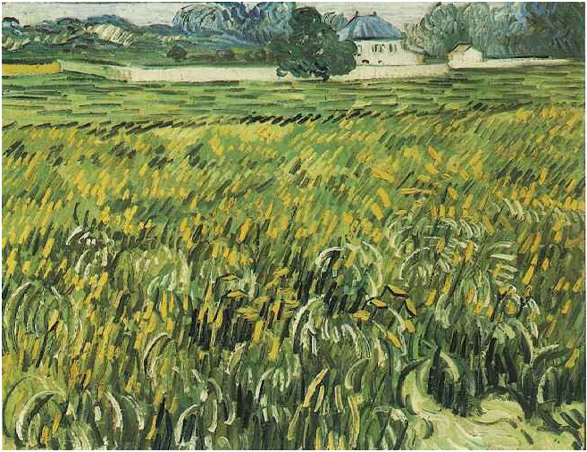 Vincent van Gogh Wheat Field at Auvers with White House Painting Vincent van Gogh's Wheat Field at Auvers with White House Painting