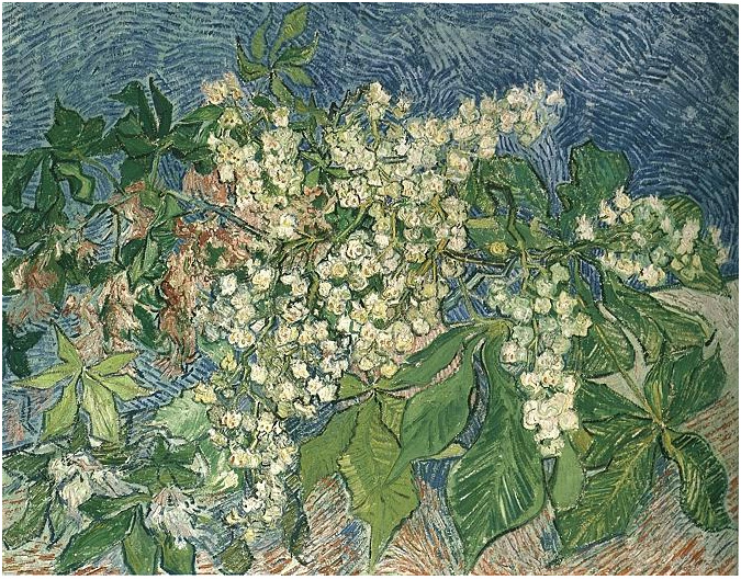 Vincent van Gogh Blossoming Chestnut Branches Painting Vincent van Gogh's Blossoming Chestnut Branches Painting