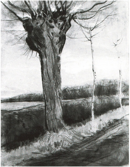 Vincent van Gogh Pollard Willow Watercolor Vincent van Gogh's Pollard Willow Watercolor