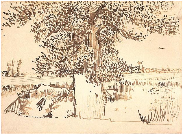 Van Gogh Drawings Landscape