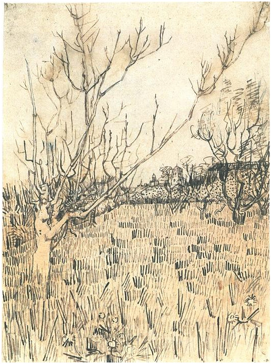 Orchard with Arles in the Background by Vincent Van Gogh - 1206