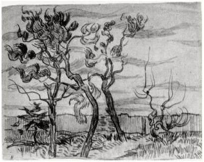 Vincent van Gogh Pine Trees in Front of the Wall of the Asylum Drawing Vincent van Gogh's Pine Trees in Front of the Wall of the Asylum Drawing