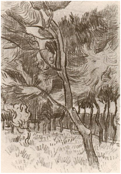 Van Gogh Trees