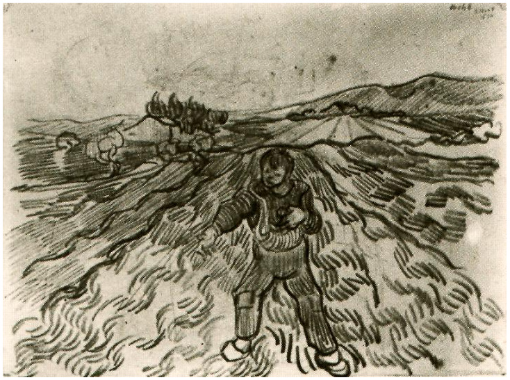 A Sower