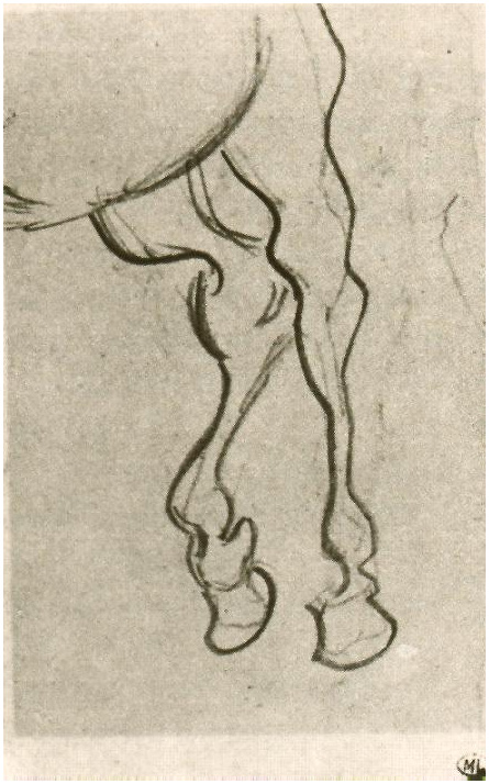 Vincent van Gogh Hind Legs of a Horse Drawing Vincent van Gogh's Hind Legs of a Horse Drawing