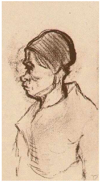 Vincent van Gogh Peasant Woman, Head Drawing Vincent van Gogh's Peasant Woman, Head Drawing