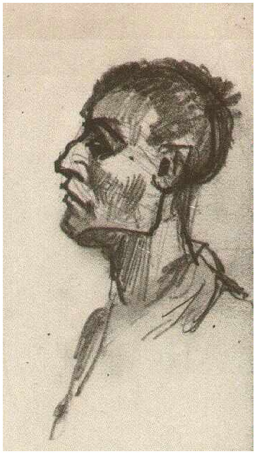 Head of a Man, Bareheaded