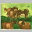 Vacas-(después-de-Jordaens)