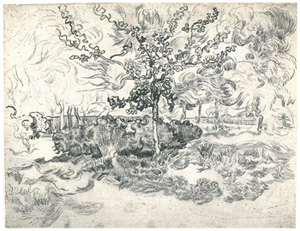 Garden at the Asylum