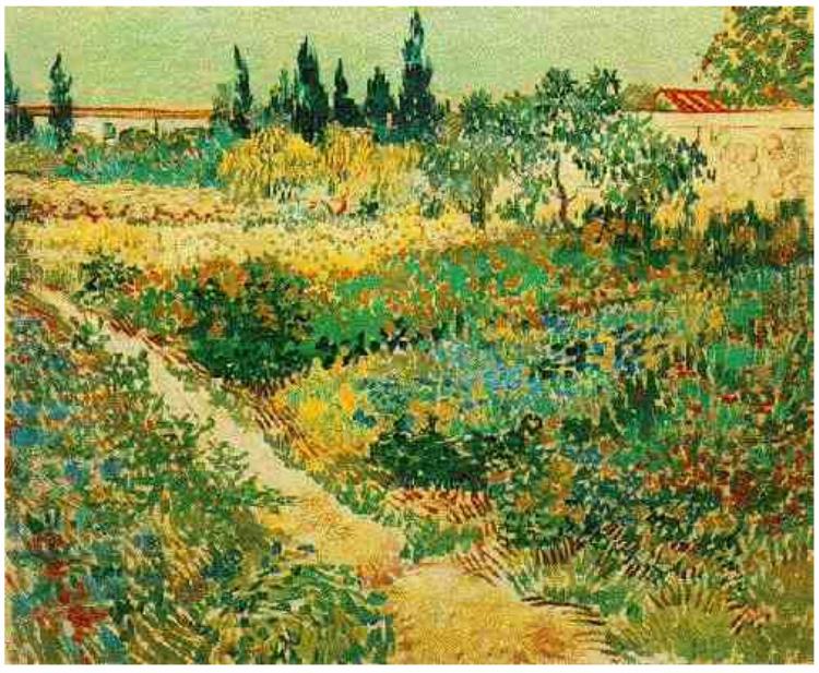 Flowering Garden with Path