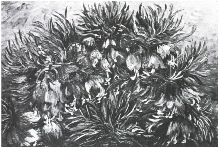 Fritillaries
