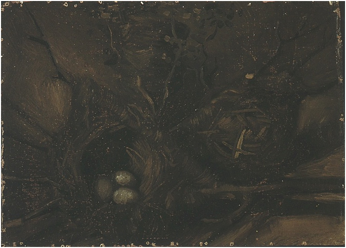 Vincent van Gogh Naturaleza muerta con nidos de pájaro Painting Vincent van Gogh's Naturaleza muerta con nidos de pájaro Painting