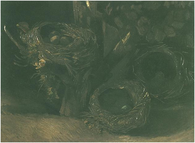 Vincent van Gogh Naturaleza muerta con tres nidos de pájaro Painting Vincent van Gogh's Naturaleza muerta con tres nidos de pájaro Painting