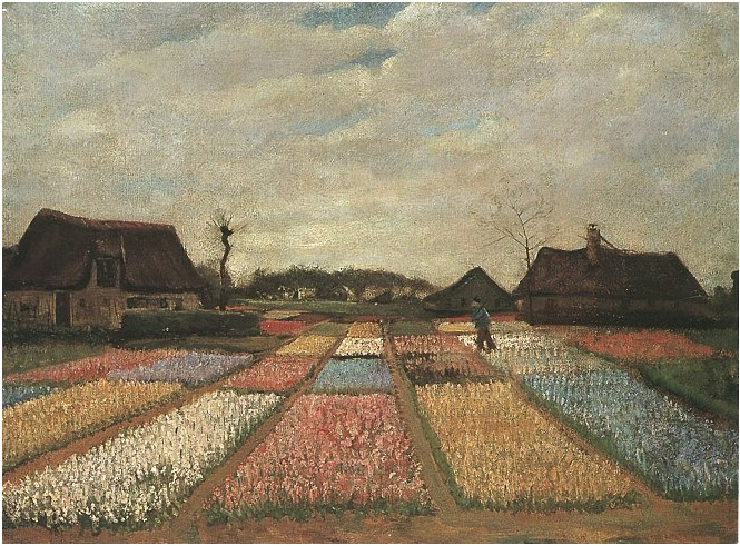Vincent van Gogh Los campos de bulbos Painting Vincent van Gogh's Los campos de bulbos Painting