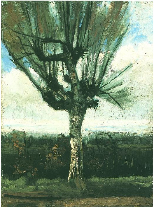 Vincent van Gogh El sauce Painting Vincent van Gogh's El sauce Painting