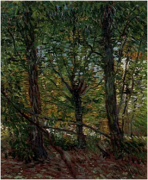 Vincent van Gogh Árboles y maleza Painting Vincent van Gogh's Árboles y maleza Painting