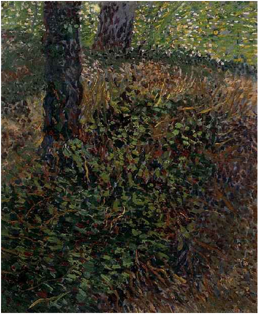 Vincent van Gogh Maleza Painting Vincent van Gogh's Maleza Painting