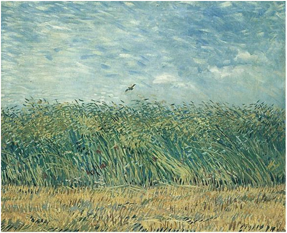 Vincent van Gogh Campo de trigo con una alondra Painting Vincent van Gogh's Campo de trigo con una alondra Painting