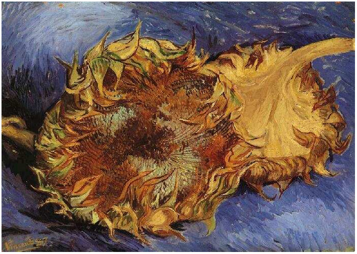 Vincent van Gogh's Two Cut Sunflowers Painting