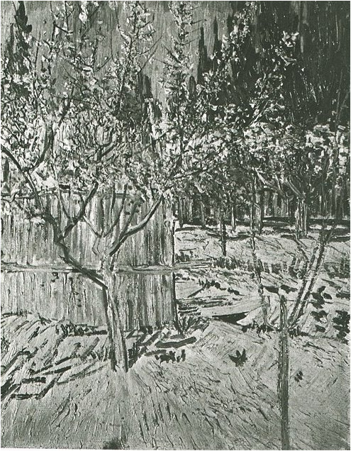 Vincent van Gogh Albaricoqueros en flor Painting Vincent van Gogh's Albaricoqueros en flor Painting