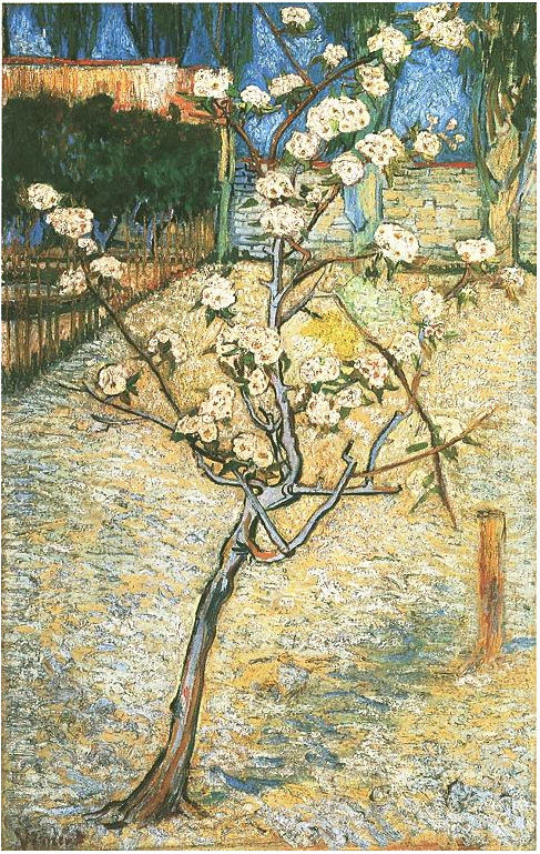 Vincent van Gogh Peral en flor Painting Vincent van Gogh's Peral en flor Painting