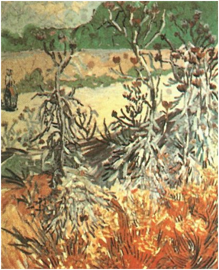 Vincent van Gogh Cardos Painting Vincent van Gogh's Cardos Painting