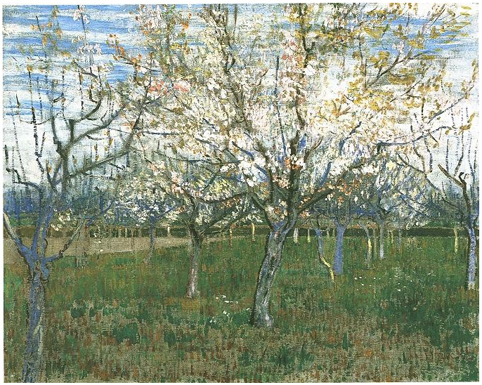 Vincent van Gogh Huerto con albaricoqueros en flor Painting Vincent van Gogh's Huerto con albaricoqueros en flor Painting