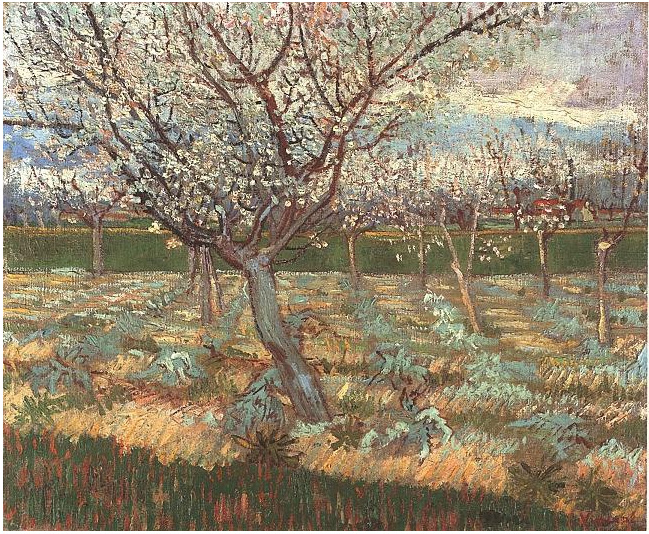 Vincent van Gogh Albaricoqueros en flor Painting Vincent van Gogh's Albaricoqueros en flor Painting