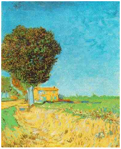 Vincent van Gogh Un camino cerca de Arles Painting Vincent van Gogh's Un camino cerca de Arles Painting