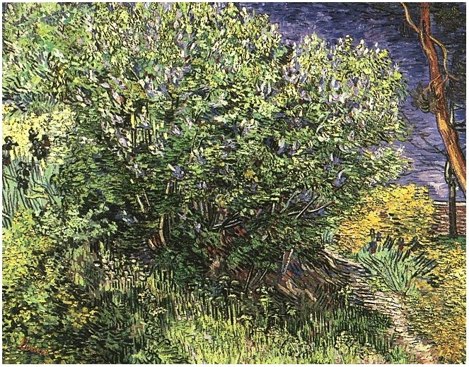 Vincent van Gogh Lilas Painting Vincent van Gogh's Lilas Painting